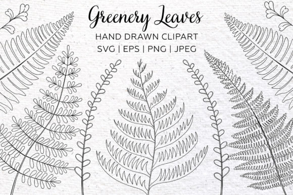 Download Greenery Clipart. Floral Leaf Design. - Design Collection