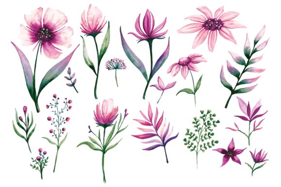 Download Floral Design Elements in Watercolor - Design Collection