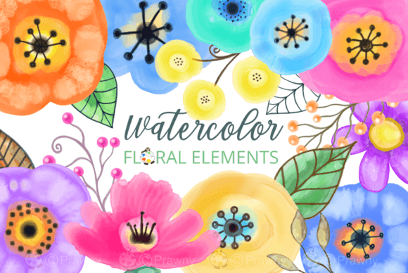 Download Watercolor Floral Design Elements - Design Collection