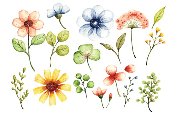Download Floral Design Elements in Watercolor - Design Collection