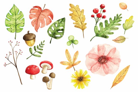 Download Floral Design Elements in Watercolor - Design Collection