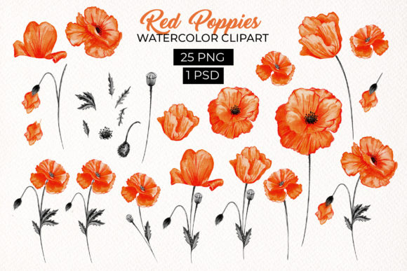 Download Red Poppies Floral Design Elements - Design Collection